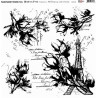 Transparent foil Carte Postale,  30x30x0,25 cm