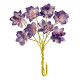 Set Crisantemos violeta Scrapberrys