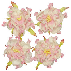 Set Gardenias blanco-rosa Scrapberrys