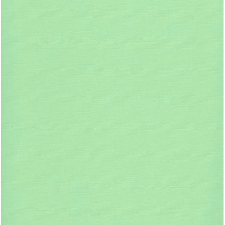 cartulina Scrapberry texturizada pastel green 30X30  216 gr