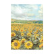 Kit 8 Papeles arroz A-6 Fondos Backgrounds Sunflower Art Stamperia