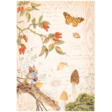 Papel de Arroz Woodland mariposa Stamperia A-4