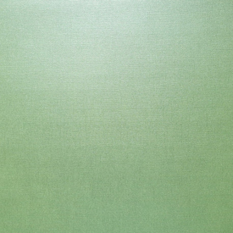 cartulina Scrapberry perlada Celadon 30X30  216 gr