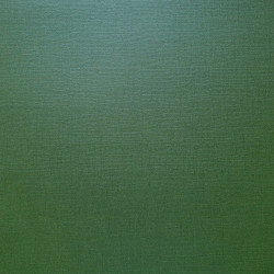 cartulina Scrapberry perlada Dark Green 30X30  216 gr