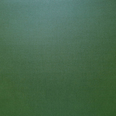 cartulina Scrapberry perlada Dark Green 30X30  216 gr