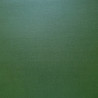 cartulina Scrapberry perlada Dark Green 30X30  216 gr