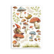 Washi pad 8 hojas A5 Hidden Grove Stamperia