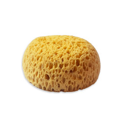 Sponge Paint