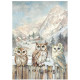 Kit 6 Papeles arroz A-4  The Owl's House