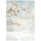 Kit 8 Papeles arroz A-6 The Owl's House Stamperia
