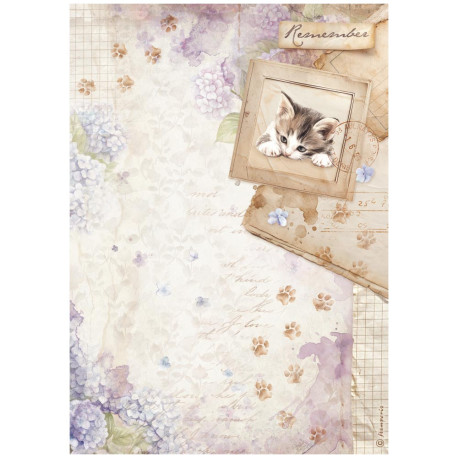 Papel de Arroz Stamperia Quiet Days Gatito