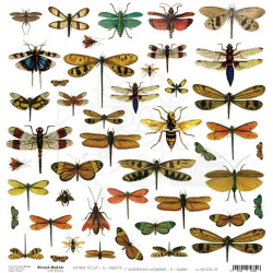 Hoja Recortables Craft O'clock 30x30 cms. Insectos