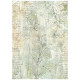Kit 8 Papeles arroz A-6 Stamperia Backgrounds Herbarium Silvae
