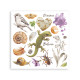 Rub-on Stamperia Set 6 Hojas 15.5x15 cms. All Around