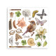 Rub-on Stamperia Set 6 Hojas 15.5x15 cms. All Around