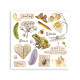 Rub-on Stamperia Set 6 Hojas 15.5x15 cms. All Around