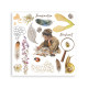 Rub-on Stamperia Set 6 Hojas 15.5x15 cms. All Around