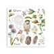 Rub-on Stamperia Set 6 Hojas 15.5x15 cms. All Around