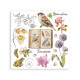 Rub-on Stamperia Set 6 Hojas 15.5x15 cms. All Around