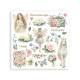 Rub-on Stamperia Set 6 Hojas 15.5x15 cms. Wonderland