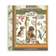Rub-on Stamperia Set 6 Hojas 20.5x23 cms. All Around