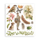 Rub-on Stamperia Set 6 Hojas 20.5x23 cms. All Around