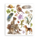 Rub-on Stamperia Set 6 Hojas 20.5x23 cms. All Around