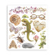 Rub-on Stamperia Set 6 Hojas 20.5x23 cms. All Around