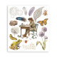 Rub-on Stamperia Set 6 Hojas 20.5x23 cms. All Around