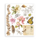 Rub-on Stamperia Set 6 Hojas 20.5x23 cms. All Around