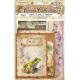 Set Tarjetas Stamperia All Around