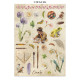 Junk Journal Stamperia Backgrounds All Around