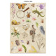 Junk Journal Stamperia Backgrounds All Around