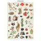 Junk Journal Candy Christmas