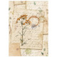 Papel de Arroz Orita A4 25-30 grs.