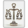 Charms set Scales 16*24mm