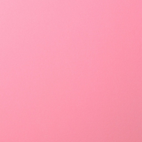 Cartulina Lisa  216 grs. 30.5x30.5 Pink